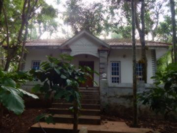 Magical 3 Days 2 Nights Wayanad Kerala India Water Activities Vacation Package