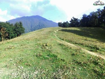 Heart-warming 2 Days Dehradun to Nagtibba Top Nature Trip Package