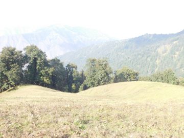 Heart-warming 2 Days Dehradun to Nagtibba Top Nature Trip Package