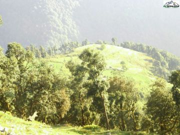 Heart-warming 2 Days Dehradun to Nagtibba Top Nature Trip Package
