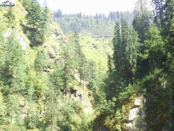 Best 7 Days Sankri Romantic Holiday Package