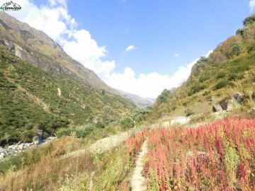 Best 7 Days Sankri Romantic Holiday Package