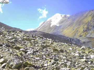 2 Days Sankari, OslaSema, Har Ki Dun and Jaundhar Glacier Honeymoon Holiday Package