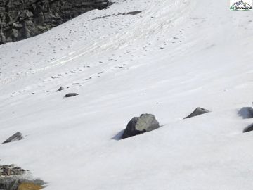 2 Days Sankari, OslaSema, Har Ki Dun and Jaundhar Glacier Honeymoon Holiday Package