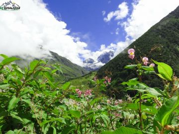 Pleasurable 6 Days Rishikesh Religious Holiday Package