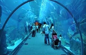 4 Nights | 5 Days Dubai Package from Chandigarh (IXC)