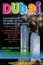 Experience Dubai Tour Package for 4 Days 3 Nights from Delhi