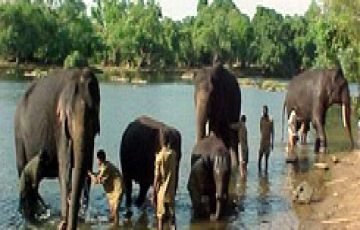 Family Getaway 4 Days Bengaluru to Madikeri Honeymoon Tour Package