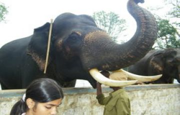 Family Getaway 3 Days 2 Nights Coorg Honeymoon Tour Package