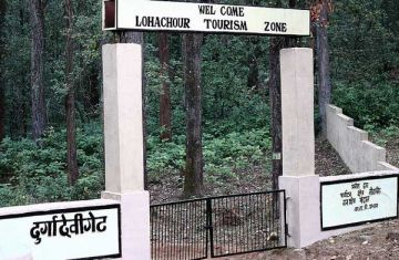 Experience Ramnagar Wildlife Tour Package for 2 Days