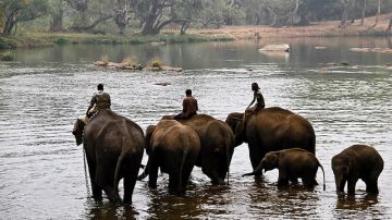 Magical 4 Days 3 Nights Coorg Tour Package