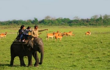 Meghalaya with Kaziranga Safari Tour from Chennai