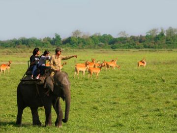 Pleasurable 6 Days 5 Nights Assam Wildlife Vacation Package