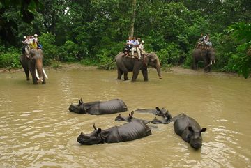 Beautiful 7 Days 6 Nights Kathmandu with Chitwan Tour Package