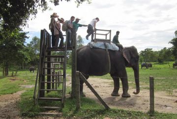 Beautiful 7 Days 6 Nights Kathmandu with Chitwan Tour Package