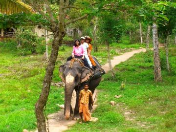 Heart-warming 6 Days 5 Nights Kochi Offbeat Trip Package