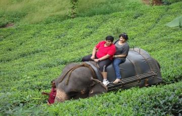 Pleasurable Thekkady Tour Package for 7 Days 6 Nights