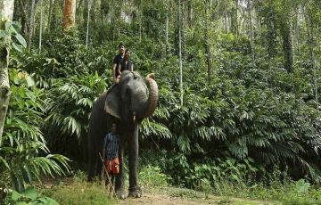 6 Days 5 Nights Cochin Weekend Getaways Trip Package