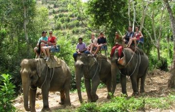 Ecstatic 5 Days 4 Nights Munnar, thekkady and alleppey Hill Stations Vacation Package