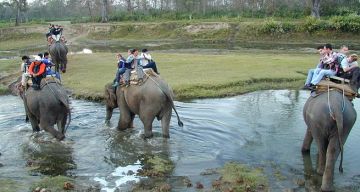 Experience 3 Days 2 Nights Cochin Wildlife Tour Package