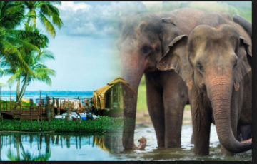 Family Getaway 4 Days Munnar and Alleppey Vacation Package