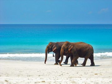 Pleasurable 4 Days 3 Nights Andaman and Nicobar Islands Beach Tour Package