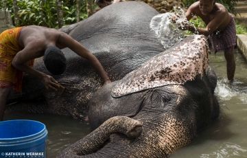 Best 5 Days 4 Nights Periyar Luxury Holiday Package