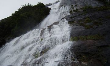 6 Days 5 Nights Munnar, Thekkady, Alleppey and Cochin Friends Holiday Package