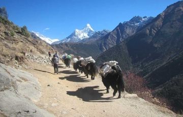Magical 15 Days 14 Nights Everest with BaseCamp Holiday Package