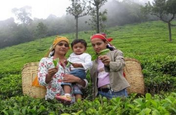 Heart-warming 8 Days 7 Nights Thekkady Culture Trip Package