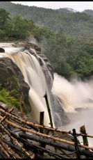 6 Days 5 Nights Alleppey Wildlife Holiday Package