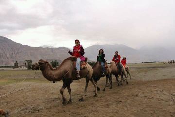 Magical 7 Days NUBRA VALLEY Trip Package