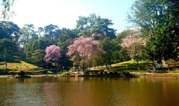 Beautiful 4 Days 3 Nights Shillong Family Tour Package