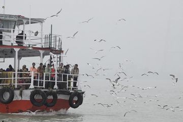 GangaSagar Tour 02 Days from Kolkata