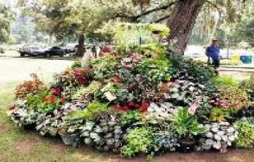 Beautiful 6 Days 5 Nights Kandy Family Holiday Package