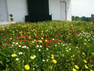 3 Days 2 Nights Mal Bazar to Murti Trip Package