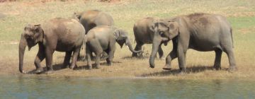 6 Days 5 Nights Cochin Lake Vacation Package