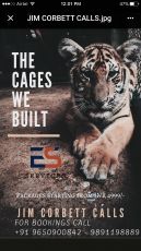 3 Days 2 Nights Ramnagar to Jim Corbett Offbeat Holiday Package