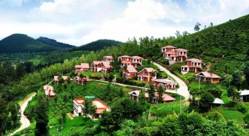 Ecstatic 3 Days Haridwar to Dehradun Luxury Holiday Package