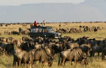 7 Days 6 Nights Nairobi to Maasai Mara Wildlife Holiday Package