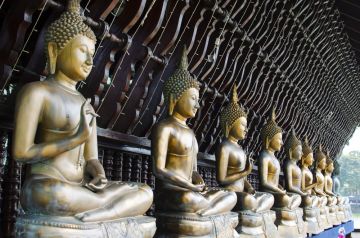 Experience 4 Days 3 Nights Sigiriya Historical Places Trip Package