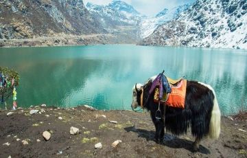 Amazing 8 Days 7 Nights Lachung Tour Package