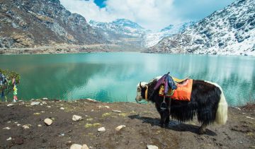 Pleasurable Gangtok Family Tour Package for 4 Days 3 Nights from Siliguri