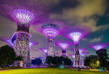 Ecstatic 5 Days SINGAPORE Park Vacation Package