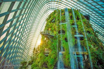 Heart-warming 7 Days 6 Nights SINGAPORE Honeymoon Tour Package