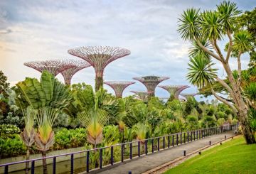 Shimmering Singapore with 2 nights Cruise