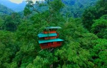 Wayanad Tree House Package