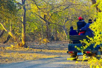 DWARKA SOMNATH TOUR PACKAGE FROM RAJKOT