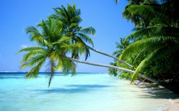 Heart-warming 3 Nights 4 Days GOA Tour Package by Supreme Travelers