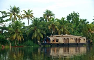 6 Days 5 Nights Munnar, Thekkady, Alleppey with Cochin Tour Package